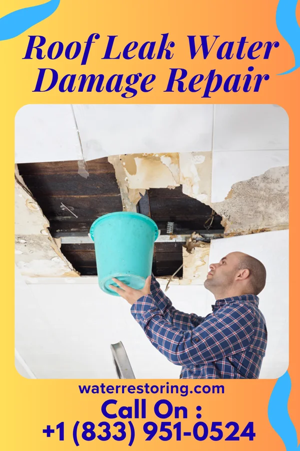 Roof Leak Water Damage Repair in Numa, IA