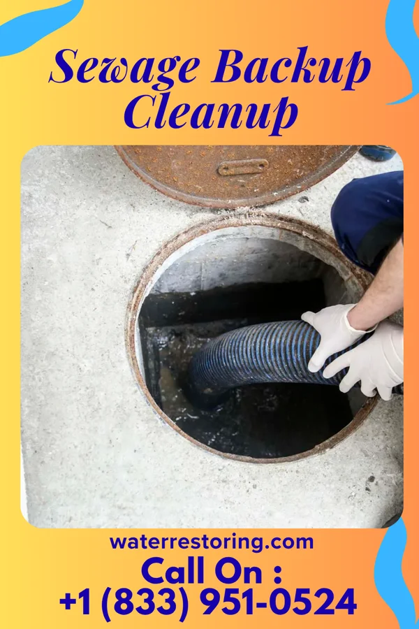 Sewage Backup Cleanup in Numa, IA