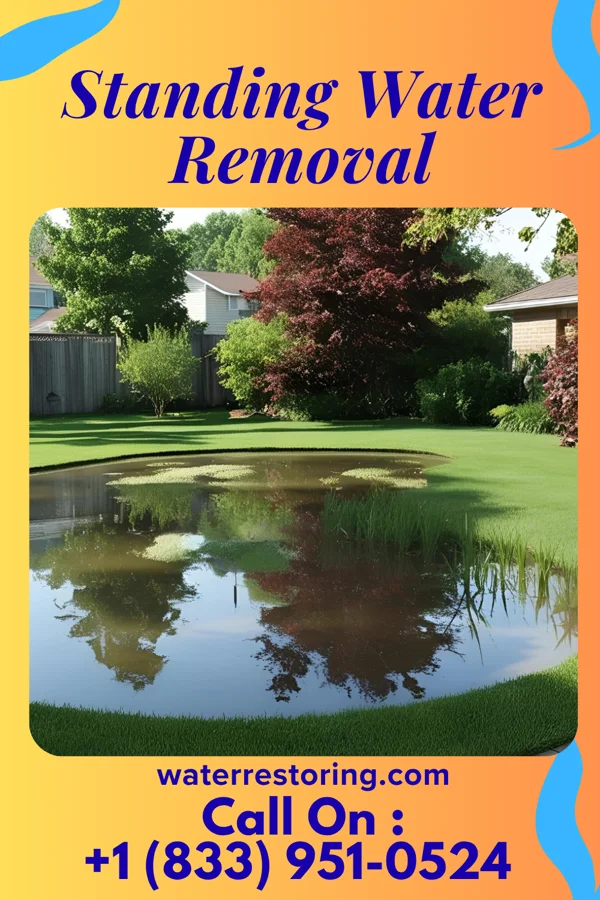 Standing Water Removal in Numa, IA